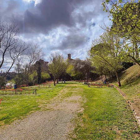 Camping Volterra Campsite *
