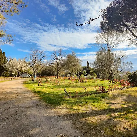 Camping Volterra Campingplads